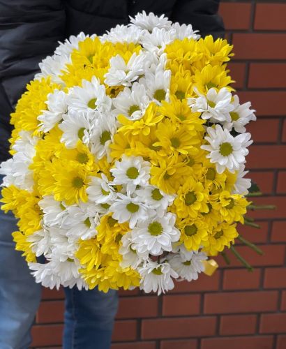 Купить букет из разноцветных хризантем с доставкой в Севастополь